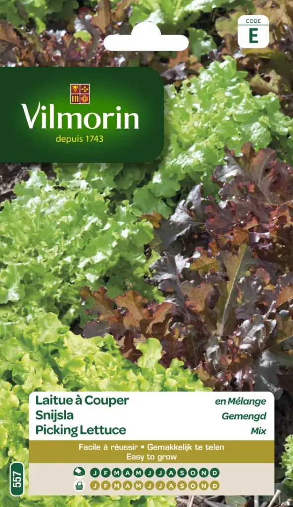 Mélange De Laitues À Couper 12g (Vilm)