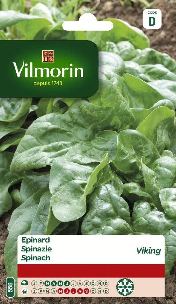 Epinard Viking 50g (Vilm)