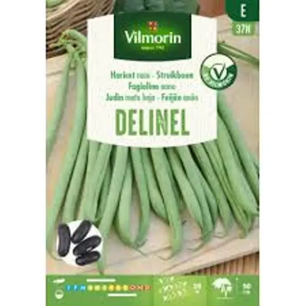 Haricot Nain à Filet Sans Fil Delinel 125g (Vilm)