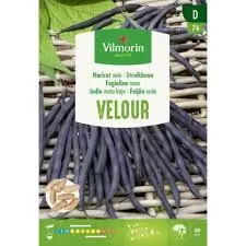 Haricot Mangetout Nain Velour 25g (Vilm)