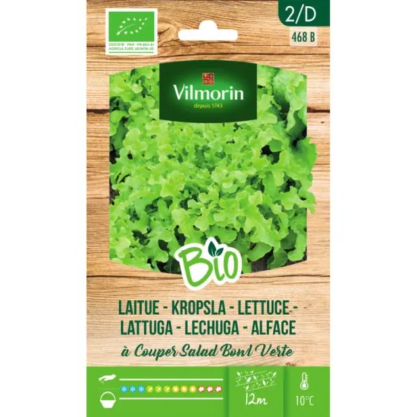 Laitue à couper Salad Bowl Verte BIO (Vilm)