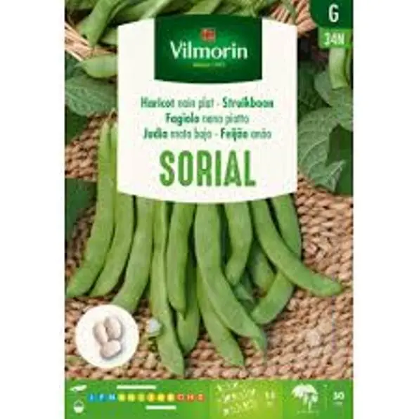 Haricot Sorial 100g (Vilm)