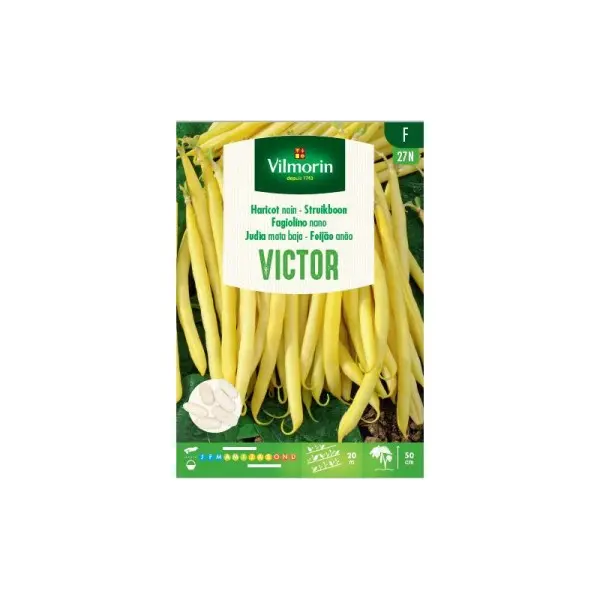 Haricot Nain à Filet Sans Fil Victor 100g (Vilm)