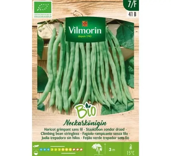 Haricot Grimpant Necarkoningin BIO (Vilm)