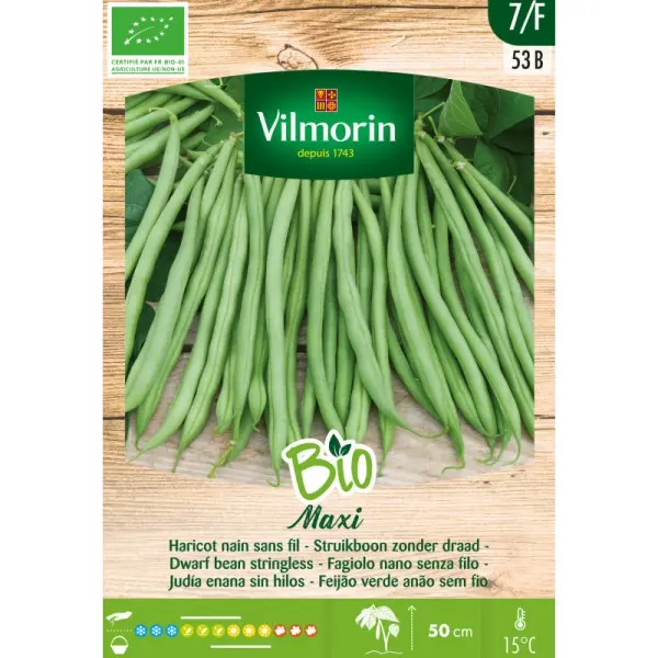 Haricot Nain Fins Maxi BIO (Vilm)
