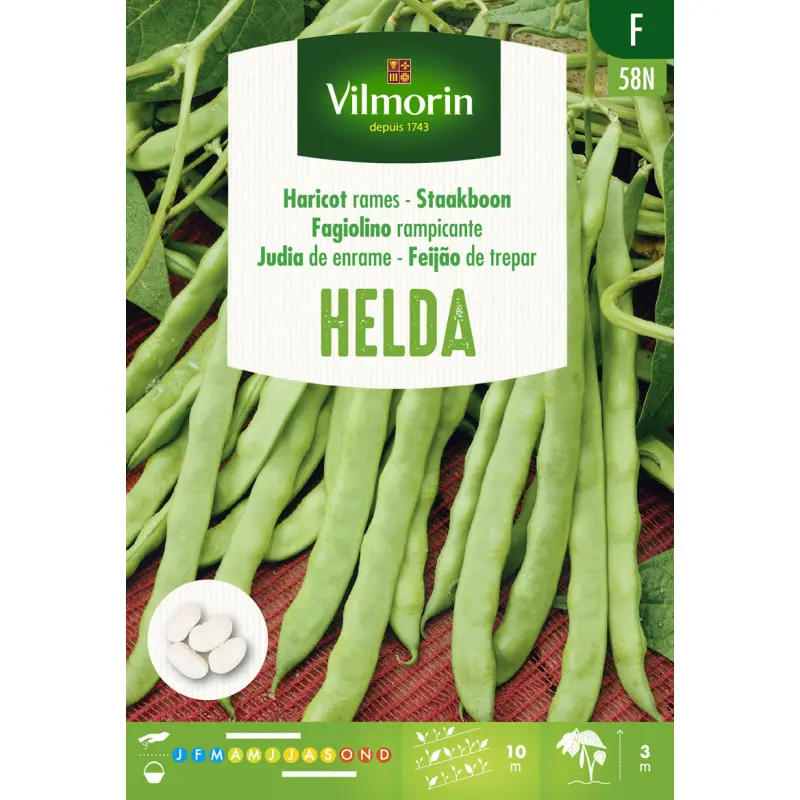 Haricot à Rame Helda 80g (Vilm) - SF
