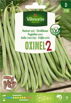 Haricot Nain  Oxinel 2 - SD