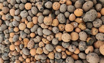 Argex 45 L Sani * Billes de drainage **