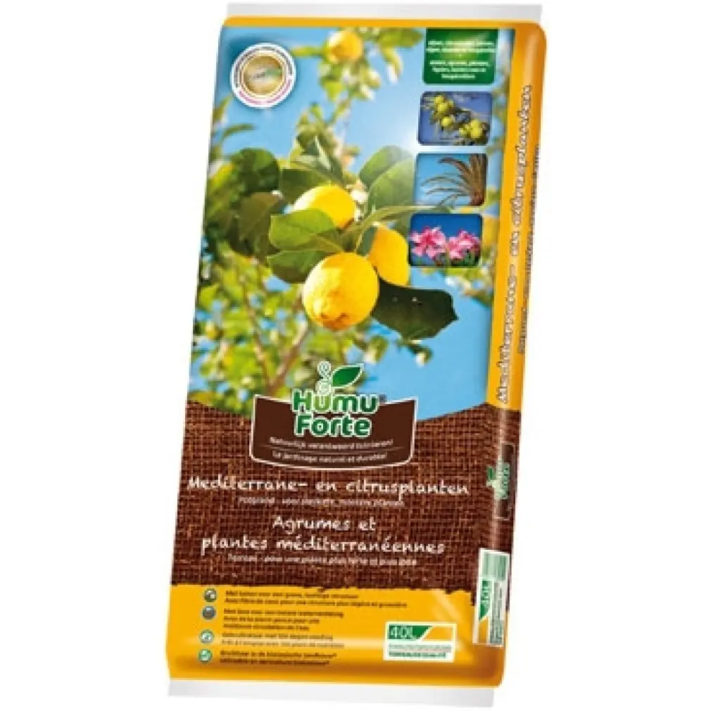 HumuForte Terreau 40 l agrumes orangerie