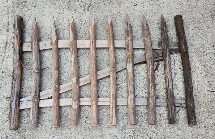 [144508] Porte châtaigner Ht 080 larg. 120 cm PREMIUM ** Brut **