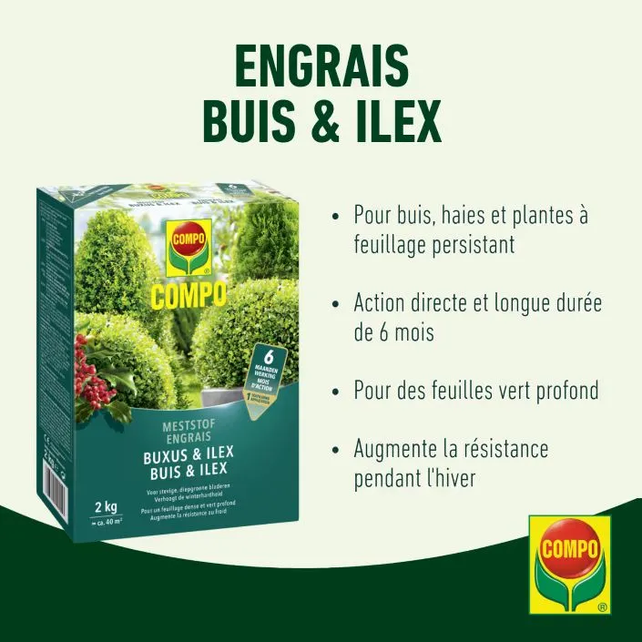 Compo engrais Buis 2 kg