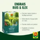 Compo engrais Buis 2 kg
