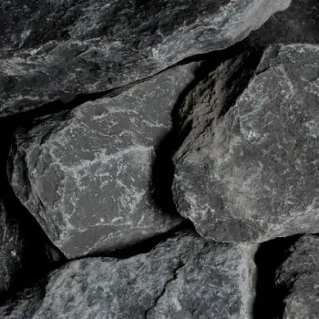 Dakar 20-50 cm prix / kg