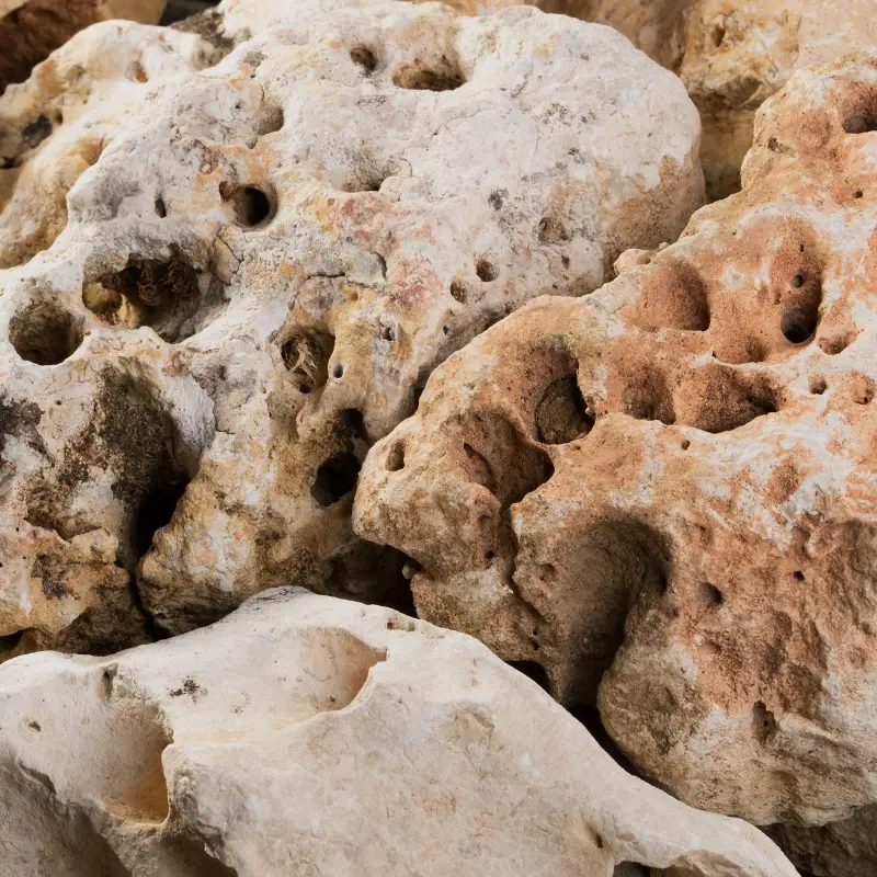 Roche Nougat 10-30cm prix/kg (MS)