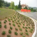 Tapis Plantex Gold  1.15 x 10m rouleau complet