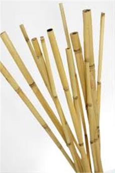 Tuteur bambou 120 cm 10 12 mm