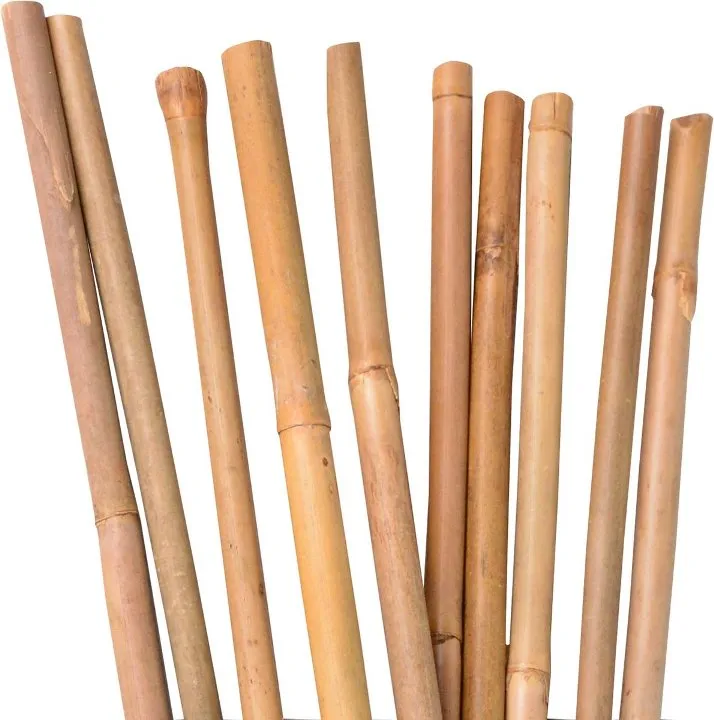 Tuteur bambou 060 cm 6 8 mm