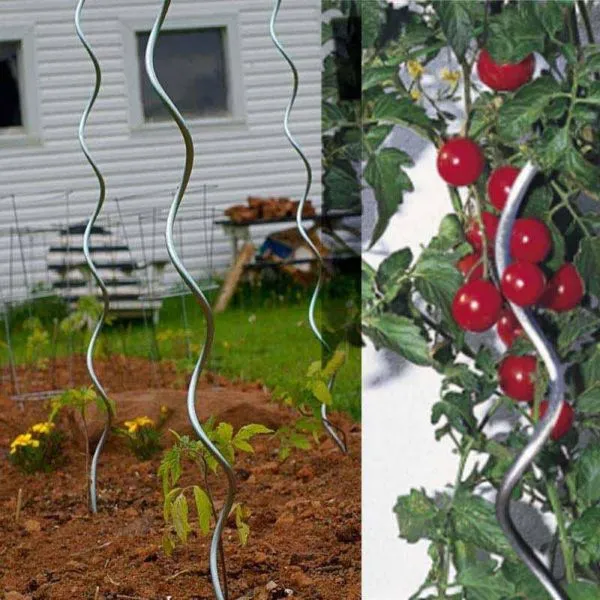 Tuteur tomates spirale galvanisé 180 cm (FL)