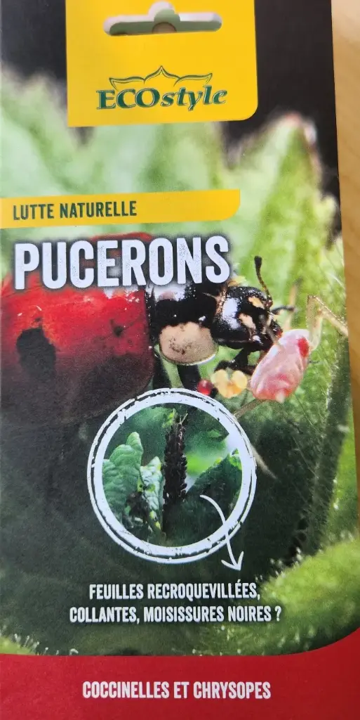 Coccinelles contre pucerons 50 larves Adalia Ecostyle BIO