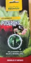 Coccinelles contre pucerons 50 larves Adalia Ecostyle BIO