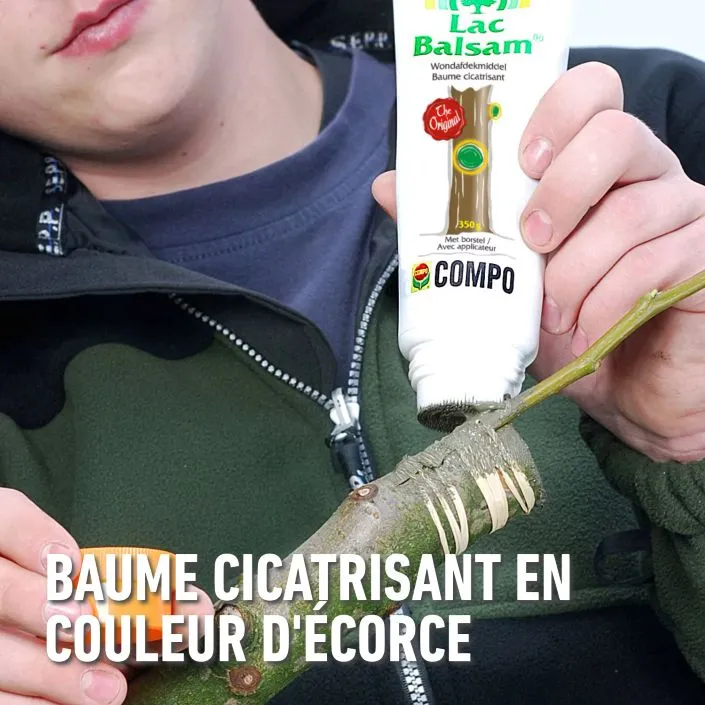 Compo lacbalsam 350 gr Baume cicatrisant