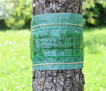 Bande de glu pour arbres Outside-  l +/- 6 cm L 150 cm