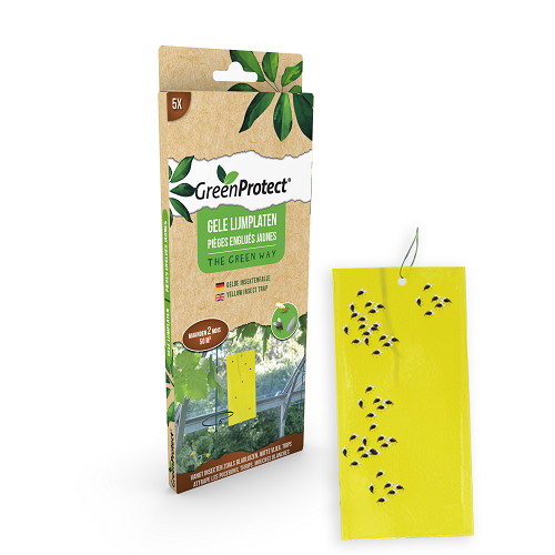 [142697] GreenProtect Plaques Englués Jaunes