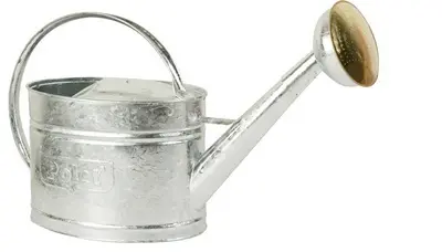 Arrosoir galvanisé 0.45 mm 10 litres avec pomme métal