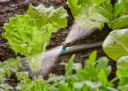 Gardena Micro-asperseur pour plate-bande