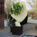 Voile hivernage beige 2 * 10 m 60 gr/m²