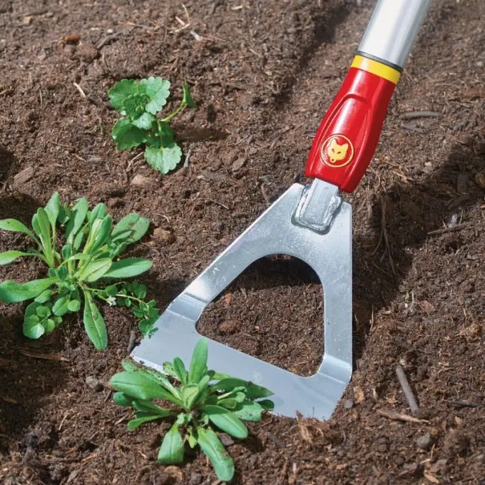 WOLF Sarcloir type Dutch Hoe DH-M13 cm