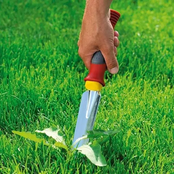 WOLF Extirpateur KS-2K