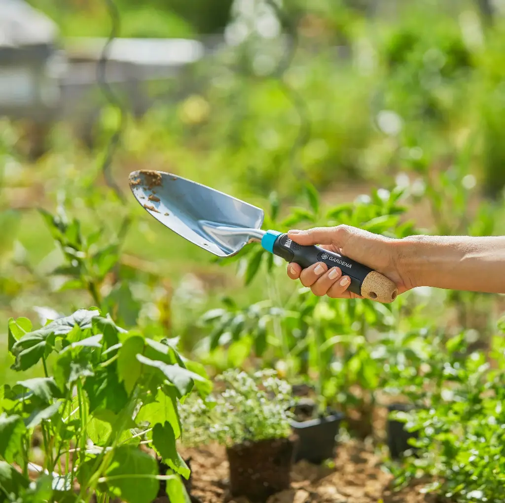 Transplantoir Ecoline Gardena
