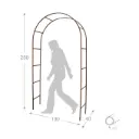 Arche DBL Classique 130 / 40 / Ht 250 fer vieilli (3106)- Pergola