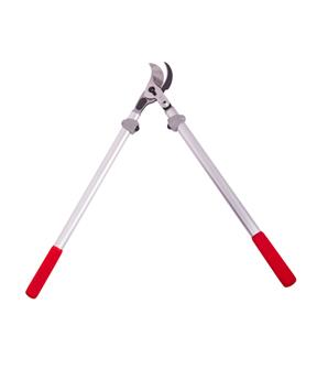 Felco 220 ebrancheur perroquet