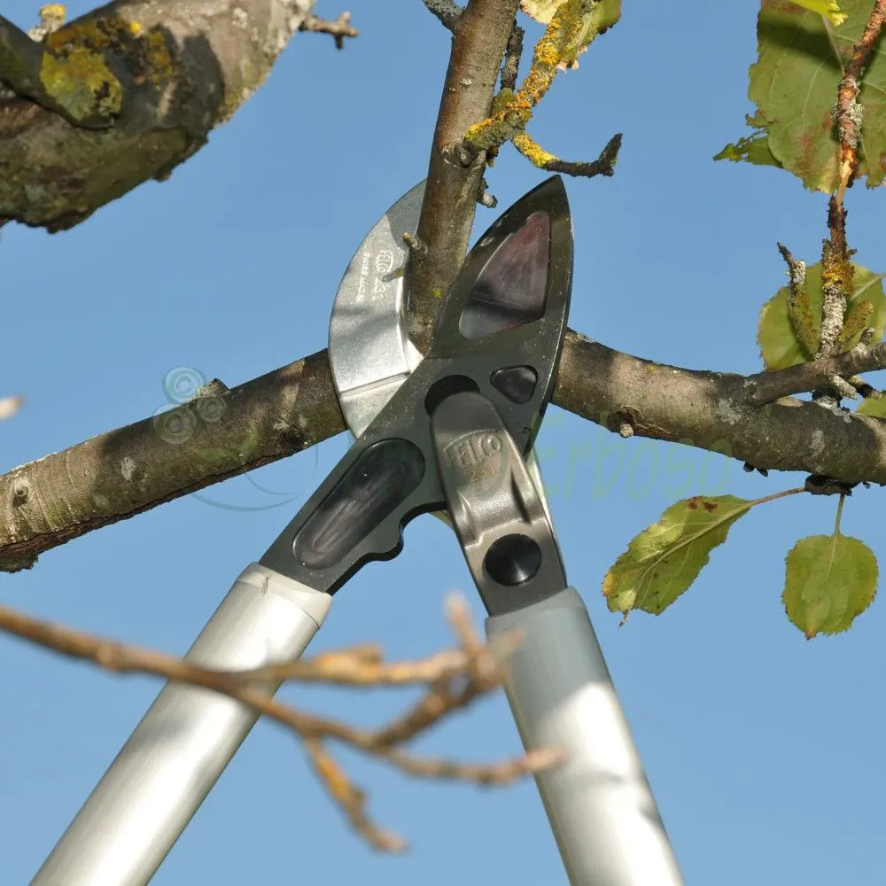 Felco 231 Ébrancheur professionnel : le + puissant !