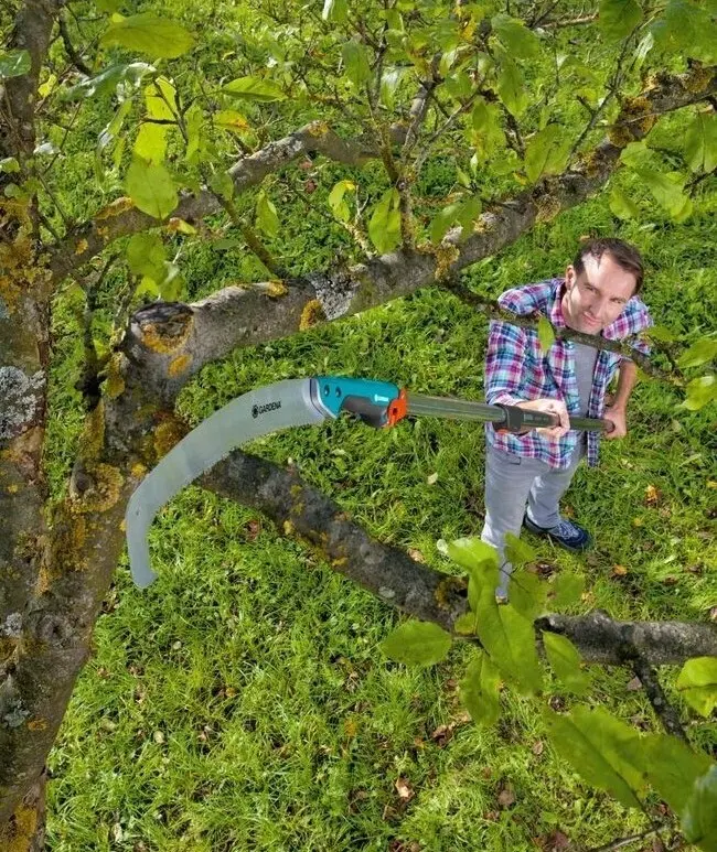 Gardena Scie à élaguer arquée 300 Combisystem 