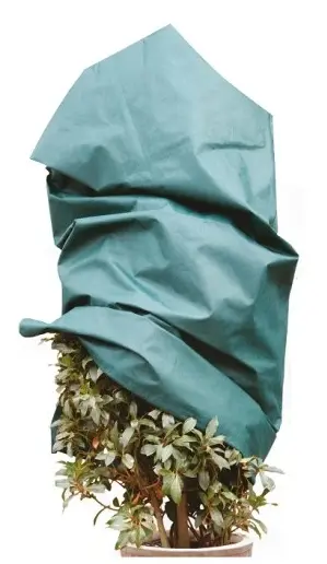 Housse hivernage verte ferm. Eclair H 180 D 120 cm 50 gr/m²