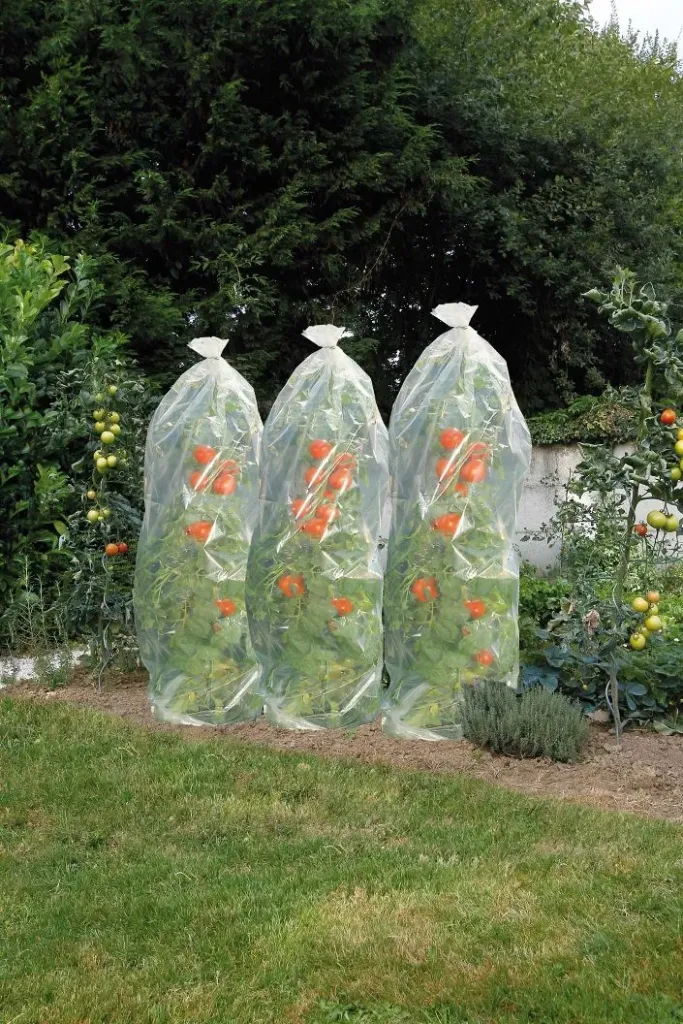 Housse à tomates diam 50 cm L15 m à découper