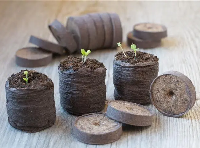 Tablettes pastilles de tourbe 4 cm x 48 pc