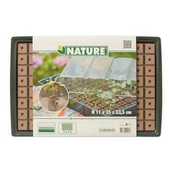 Mini serre semis terrine 77 alvéoles mousse hydroponique 35/23.5 Ht 11 cm