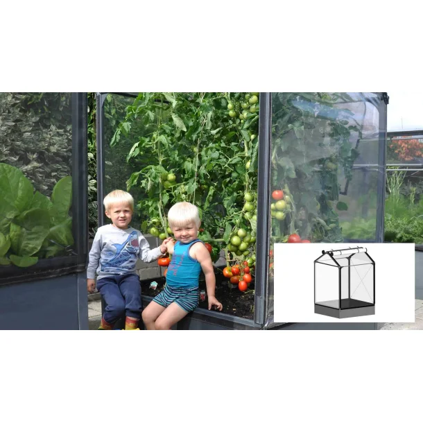 Growcamp 30 basic potager Ht 180 FC3090 mini serre couche