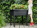 Bac Potager grow Table Elho noir (sans couvercle)
