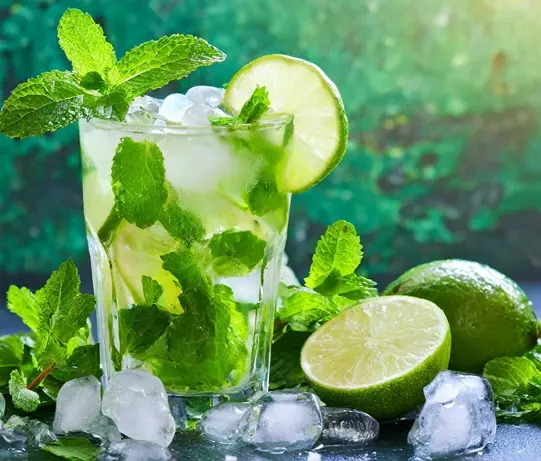 Citrus limon Verde mini tige 20 cm Pot C4Litres