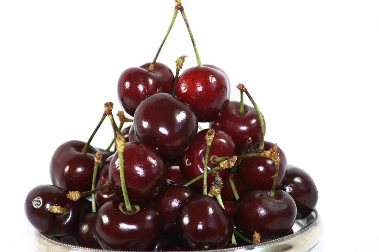 Bigarreau Van Buisson. Fort prêt à produire.