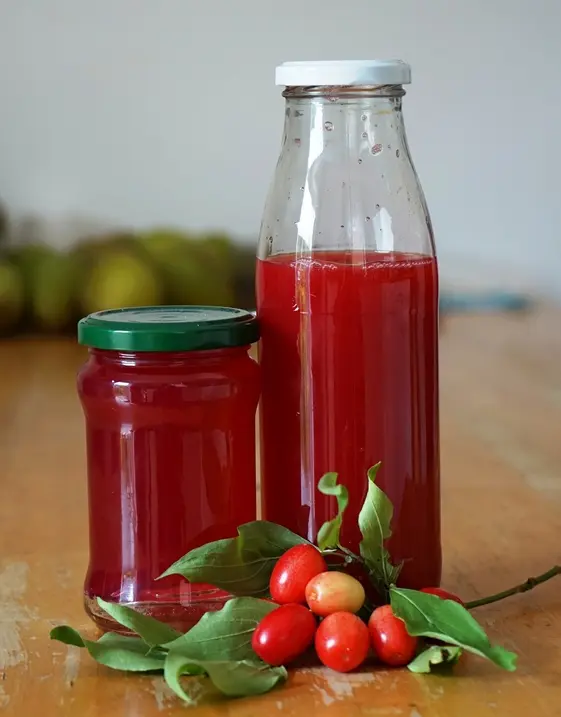 Cornus mas Jolico 080 100 Pot C5 ** Cornouiller mâle **