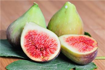 Ficus carica Del Portogallo Buisson Pot C10Litres