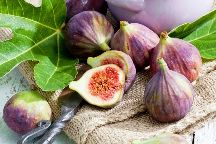 [136104] Ficus carica Brunswick C5L ** Figuier. Autofertile **