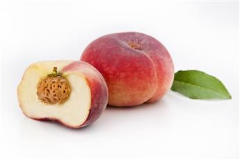 Pêcher Saturne 1/4 tige FORT Pot ** Fort: prêt à produire. Pêche plate Autofertile et résistant ***