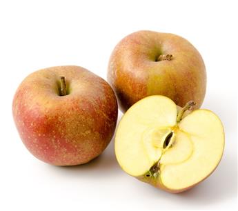 Pommier Boskoop Rouge Demi Tige Fort **Prêt à produire**